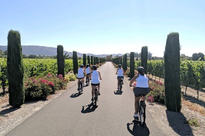 Sonoma Valley Bike and Wine Ebike Tour - Photo 1 of 10